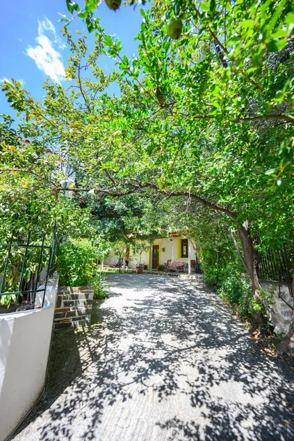Smallvillagerani - Image 1