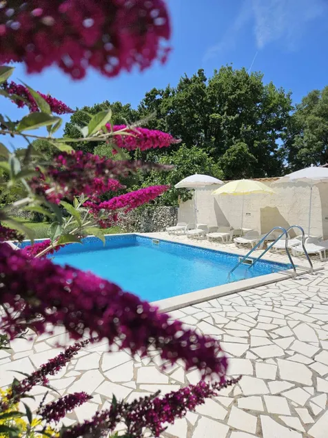 Green paradise in Istria! - Image 1
