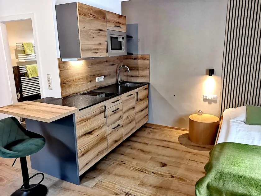 Single apartment between Salzburg and Hallein - Image 1