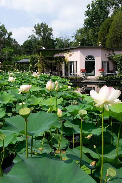 La Foleia and its private lake. Villa Ottagonale - Image 1
