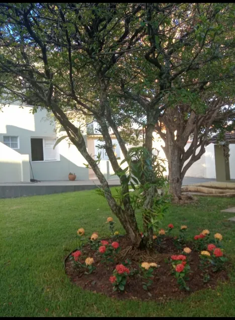 Charming little house in São Pedro (4 people) - Image 1