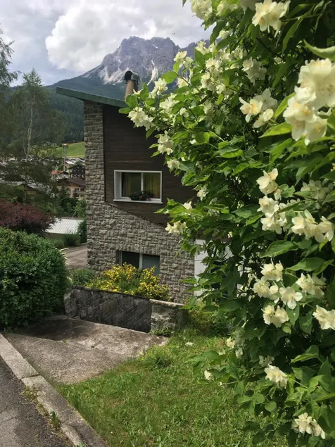 Villa Lucia appartamento Fiore - Image 1