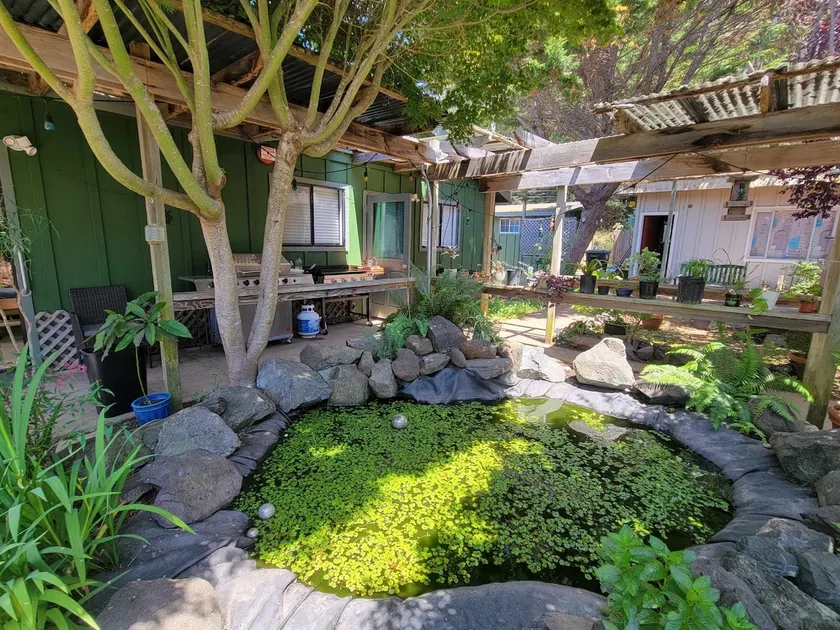 Pet friendly Inglenook Bungalow - Image 1