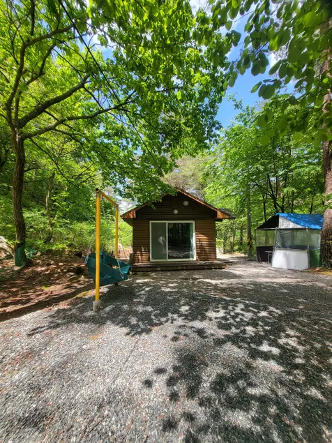 Forest House - Image 1
