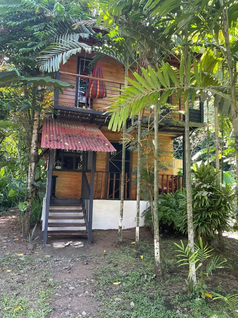 Papaya Wildlife Lodge - Image 1