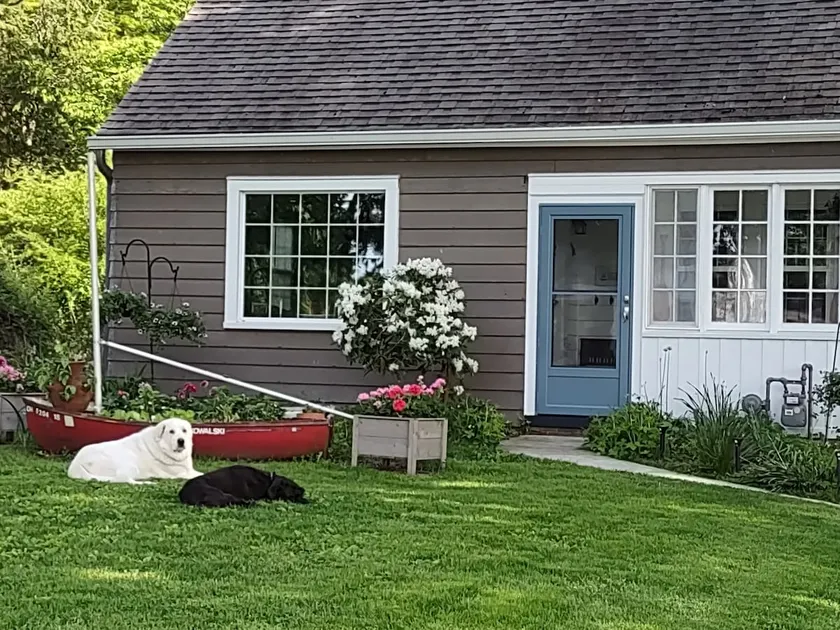 Lake Life Cottage - Image 1