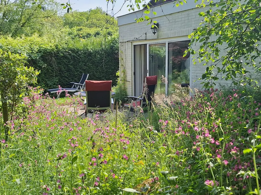 Enjoy nature, tranquility and cozy Nijmegen - Image 1