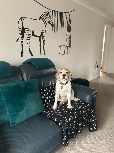Hereford - Finch House - Modern 4 Bedroom House Located in South Hereford, Dog Friendly With Nearby Countryside, Pool Table, Sleeps up to 10 Guests - Hosted by RENTMYHOUSE - Image 1