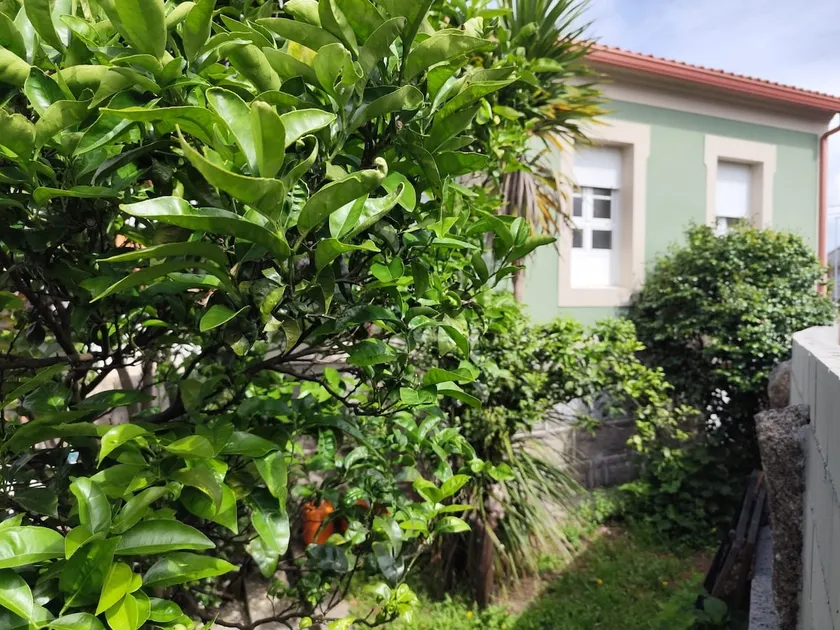 Casa Camila - Image 1