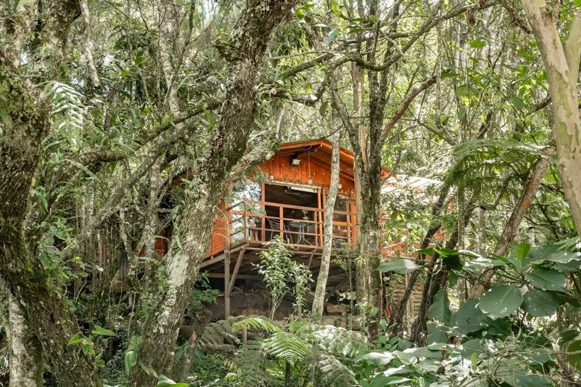 Cabin in the Forest with Jacuzzi - Santa Elena - Image 1