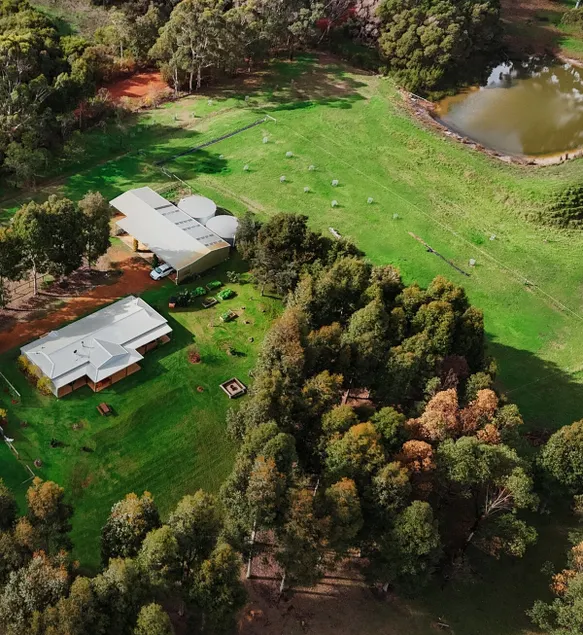 Renovated house on 50 acres 15 mins from Denmark - Image 1
