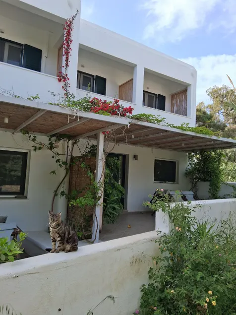 Moscha's 2bedroom apartments. - Image 1