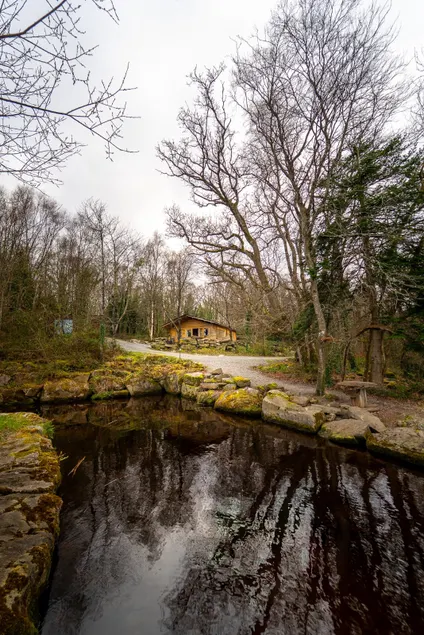 LakeLands harbour cabin - Image 1