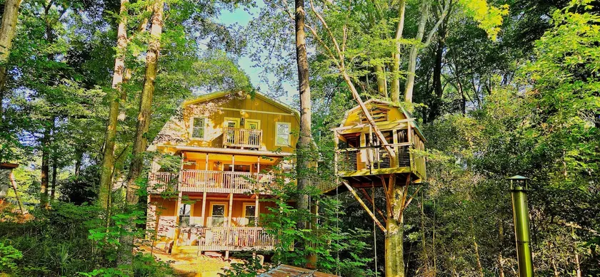 Lake Home & Treehouse ❤ Seneca Treehouse Project - Image 1