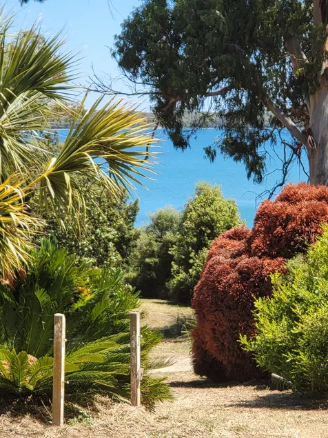 Secret getaway with views of Lake Diana - Image 1