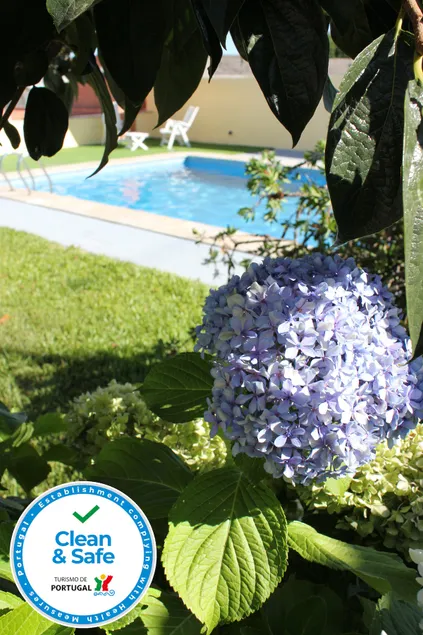 Casa das Flores 1, villa with pool in the Douro - Image 1