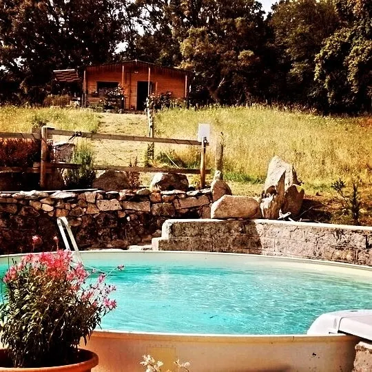 Sardinia Relax. EcoLodge in Nature + Pool! - Image 1