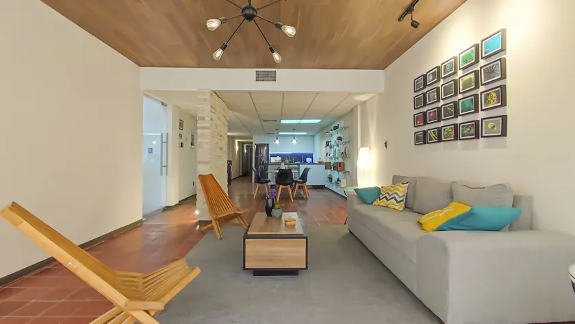 LOFT in ”Paseo Morelos” with Rooftop - Image 1