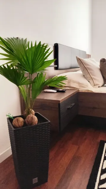 Classy Two-Bedroom - Image 1