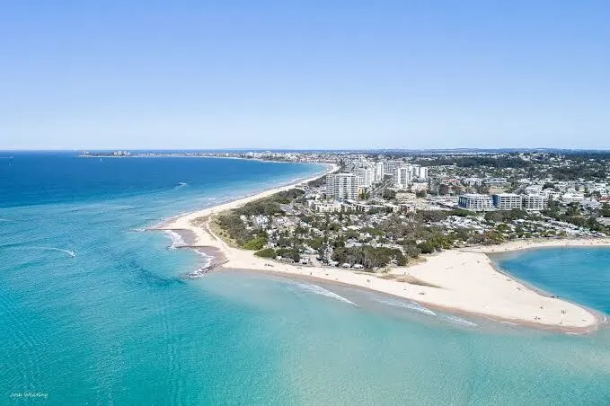Alby’s - Cotton Tree - Image 1