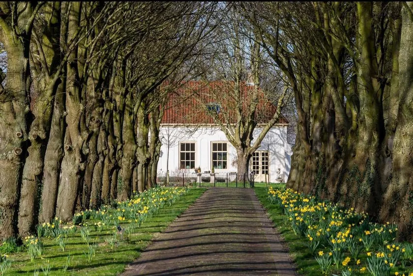 B&B, beautifully rural location, behind old driveway - Image 1