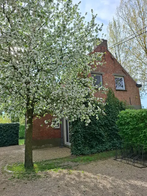 House on Puyenbroeck-Wachtebeke-Moerbeke-Lokeren - Image 1