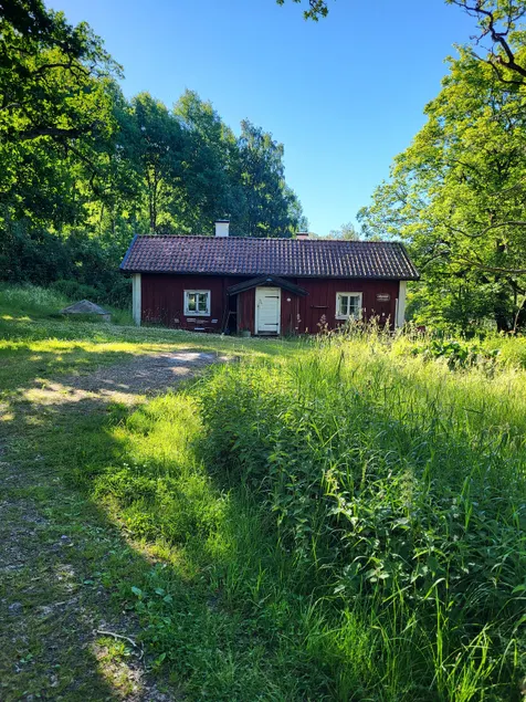Lillgården, Rural idyll with the primeval forest right around the corner - Image 1