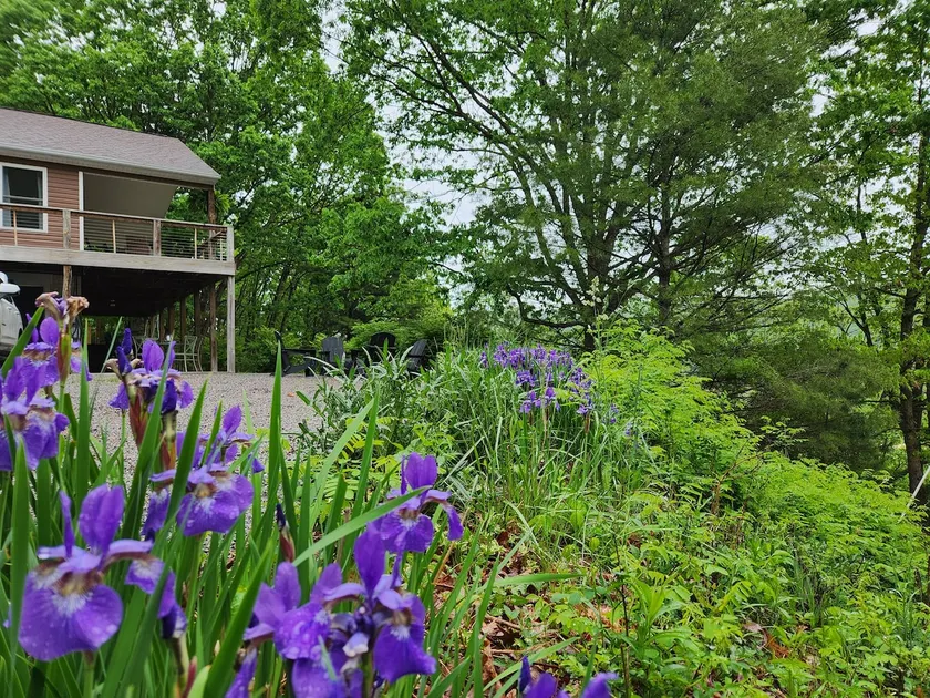 The Woodland House|comfy mtn home, hot tub, view - Image 1
