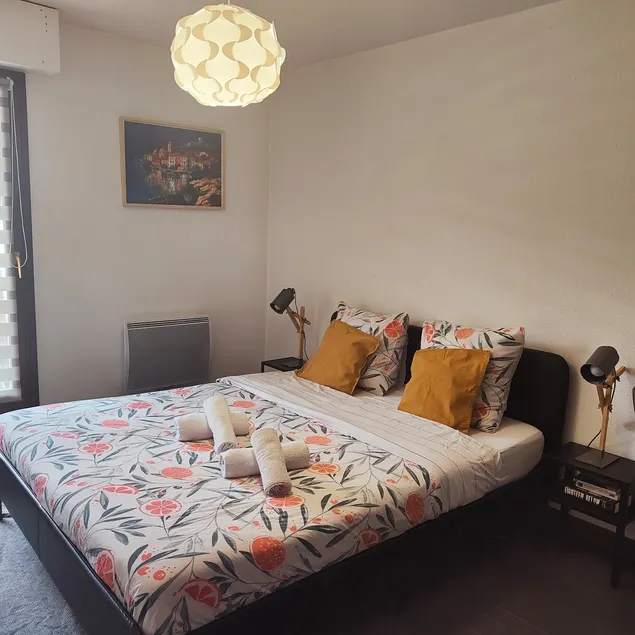 Lovely apartment with a garage on premises - Image 1