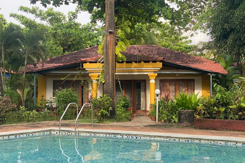 Bungalow Hibiscus - Image 1