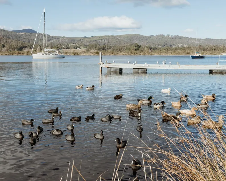 Huon River View Suite · Boat Reflections - Image 1