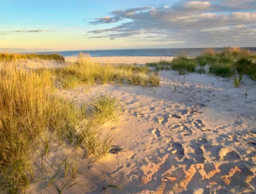 Spacious Beach Getaway! Private + Central Location - Image 1