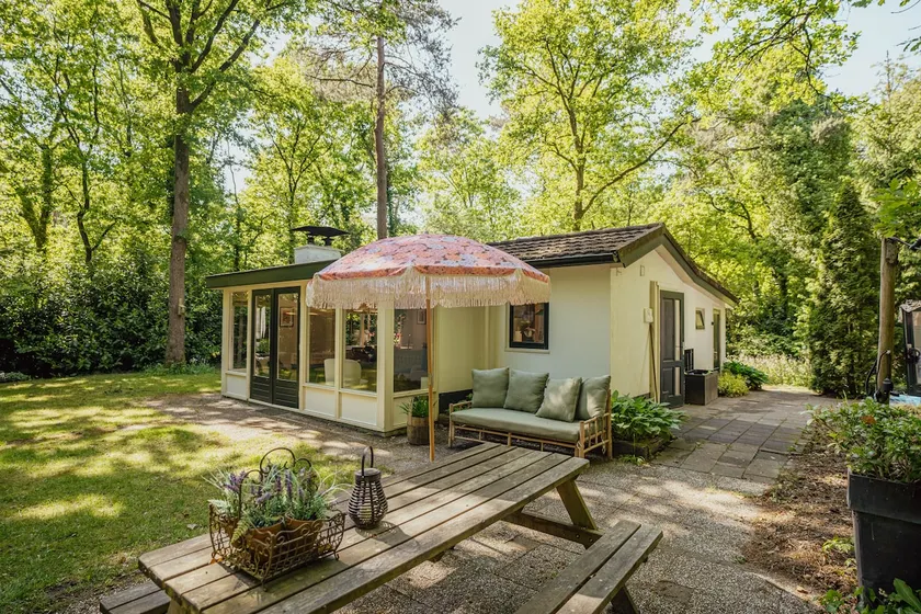 Wooden house on the Veluwe - Image 1