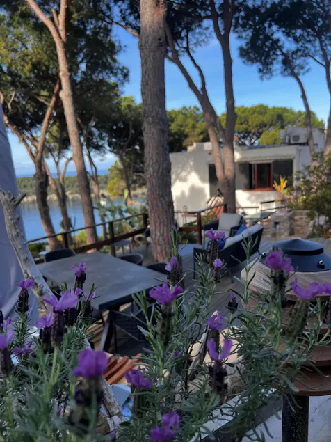 Nido, in Fetovaia, is a tastefully decorated  two-room apartment , with the terrace overlooking the - Image 1