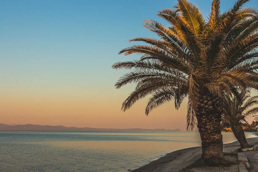 MainAvenue Palm Seaside - Image 1