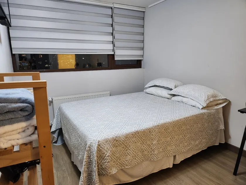 Centrally located apartment, overlooking the great Concepcion. - Image 1