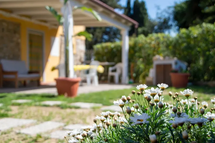 House Il Poggio just 8 minutes from the sea - Image 1
