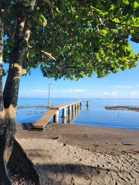 Fare Miti Tautira - Beach & Lagoon - Image 1
