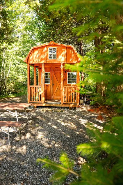 White Wolf Acres Bunkie (1) - Image 1