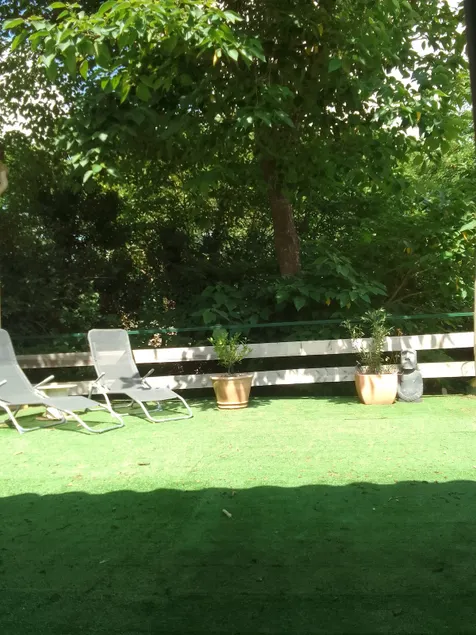 Cozy studio in the trees - Image 1
