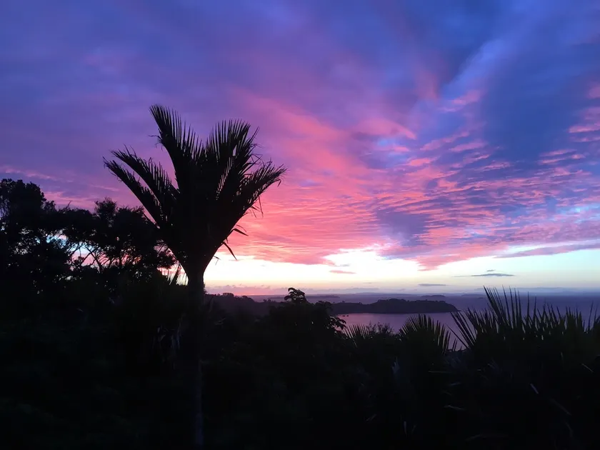The Nikau Loft - Image 1