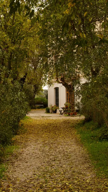 Exquisite Loft ”Bed & Breakfast” near BCN - Image 1