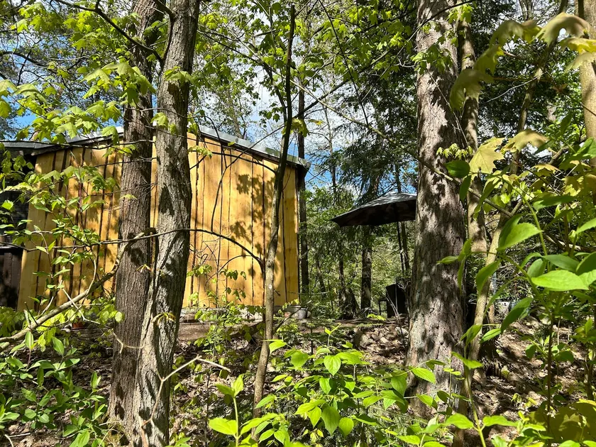 Idyllic bungalow in the woods by the lake - Image 1