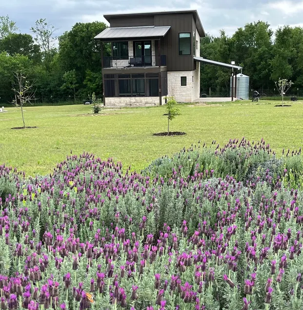 Texas Lavender, a modern romantic country retreat. - Image 1