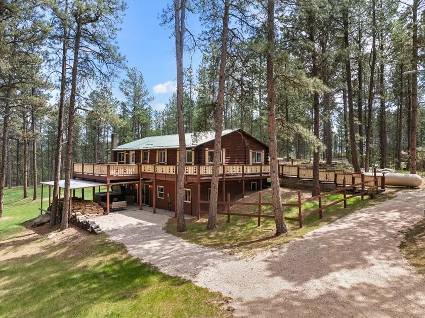 Needles Nest: Secluded Cabin with Hot Tub - Image 1