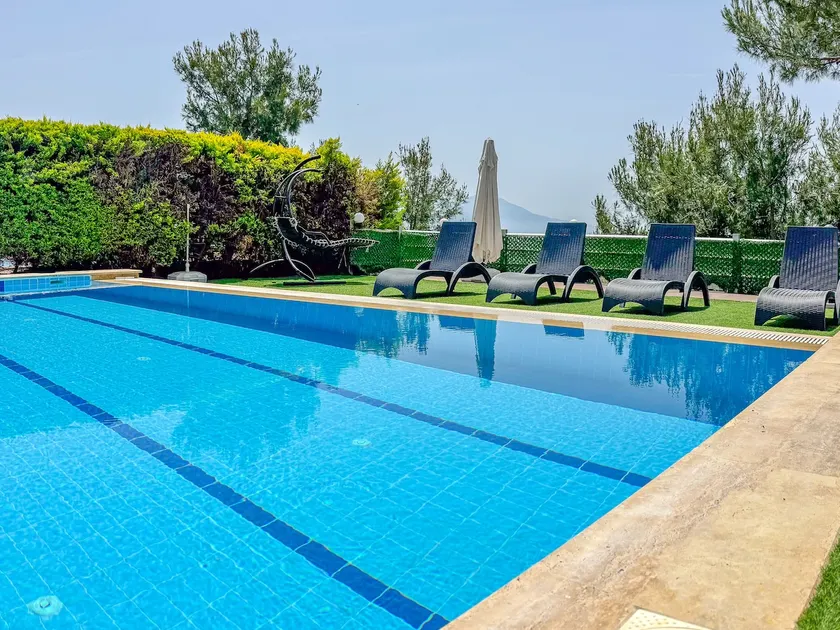Luxury villa with private pool - Image 1