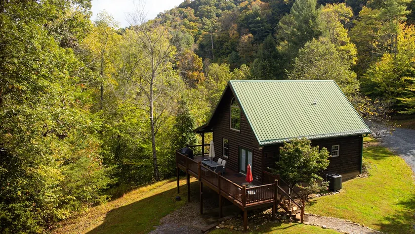 Secluded woodland cabin near South Holston River - Image 1
