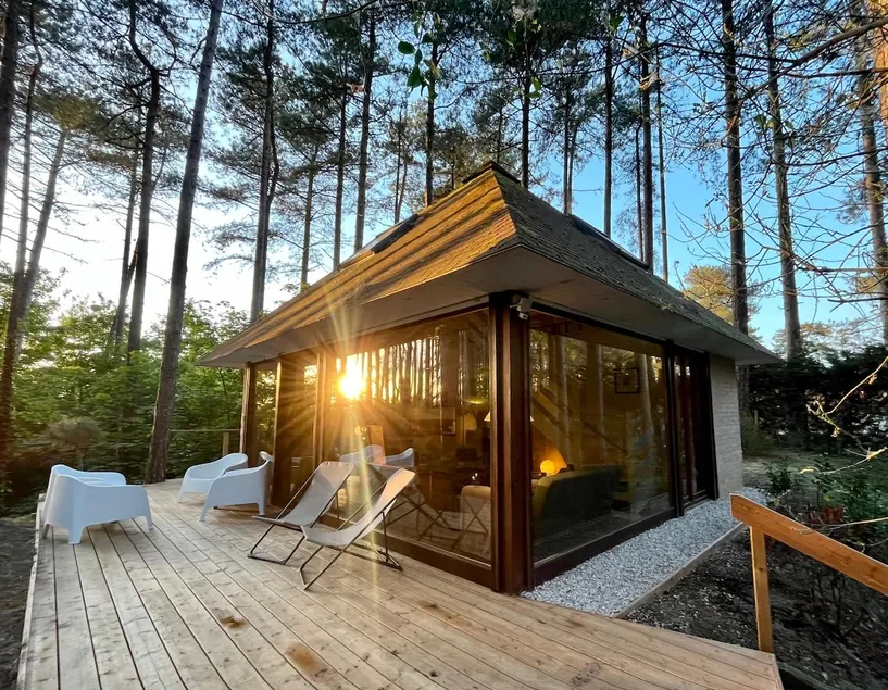 The Inside-Out Experience: House in the Pine Forest - Image 1