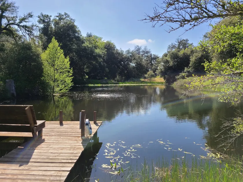 Julian's- ”Red Fox Retreat” 5 Acres of solitude - Image 1