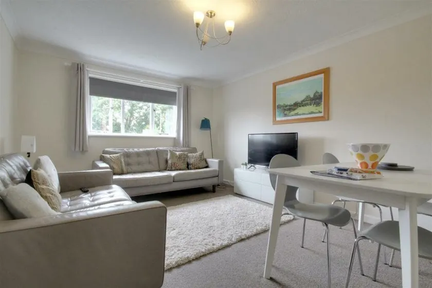 The Firs - Apartment next to Beach & Forest - Pets are free - Image 1
